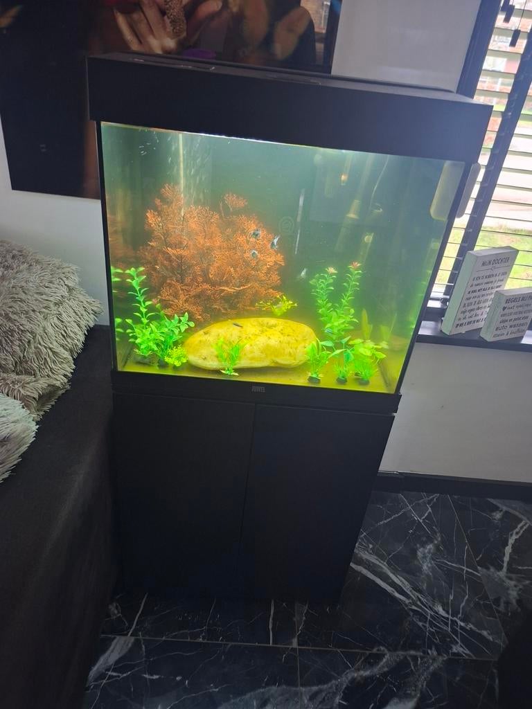 Juwel Lido 120 + Superfish Retro Led, Ophalen of Verzenden, Gevuld zoetwateraquarium