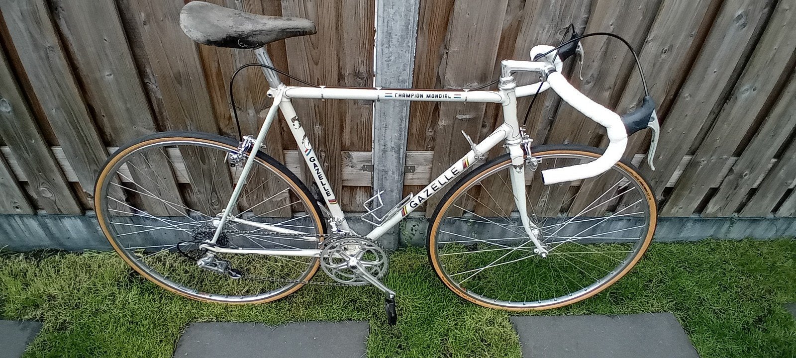 Gazelle Champion Mondial 1979, Ophalen, Gebruikt, Gazelle, 53 tot 57 cm