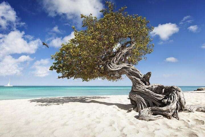 reisgenote gevraagd Aruba/Curaçao, Contacten en Berichten, Reisgenoten en Carpoolers
