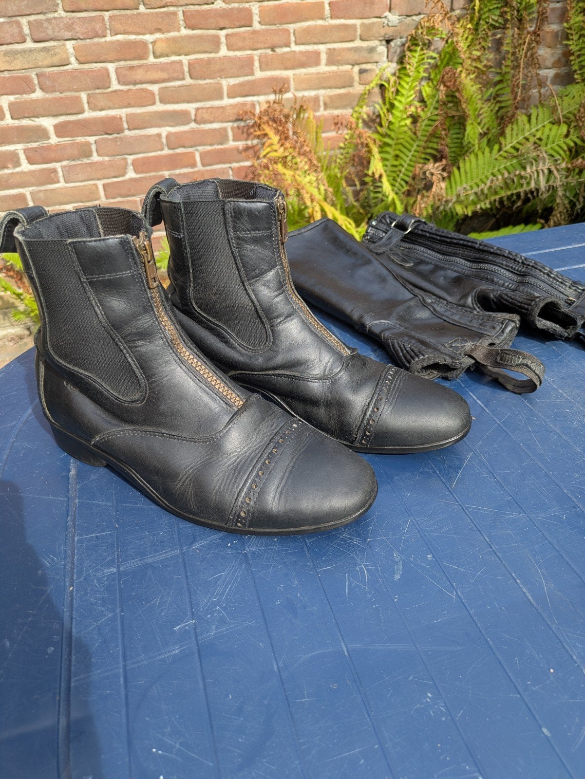jodhpurs mt  39 leer. met chaps, Gebruikt, Ritssluiting, Dressuur, Ophalen of Verzenden