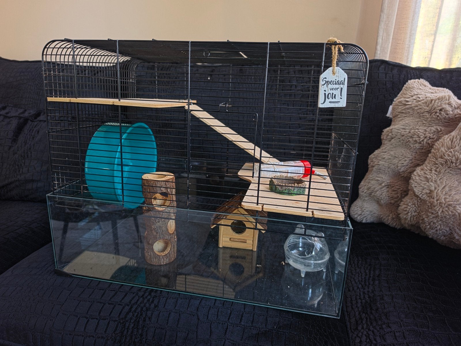 Grote glazen hamsterkooi 59x 38x 47cm incl toebehoren!, Dieren en Toebehoren, Kooi, Minder dan 75 cm, X, Ophalen