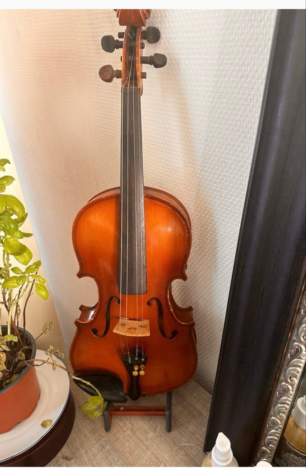 Prachtige 2/4 Viool met Koffer en Strijkstok - Direct Speelk, Muziek en Instrumenten, Overige formaten, Viool, Ophalen of Verzenden