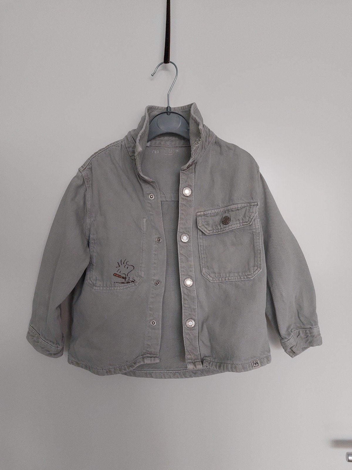 Leuk Snoopy  overhemd maat 98, Kinderen en Baby's, Kinderkleding | Maat 98, Gebruikt, Overhemd of Blouse, Ophalen of Verzenden