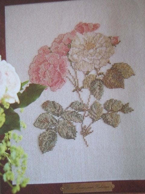 Borduurpatroon  Rozen  nr 2942 do, Verzenden, Nieuw, Handborduren, Patroon