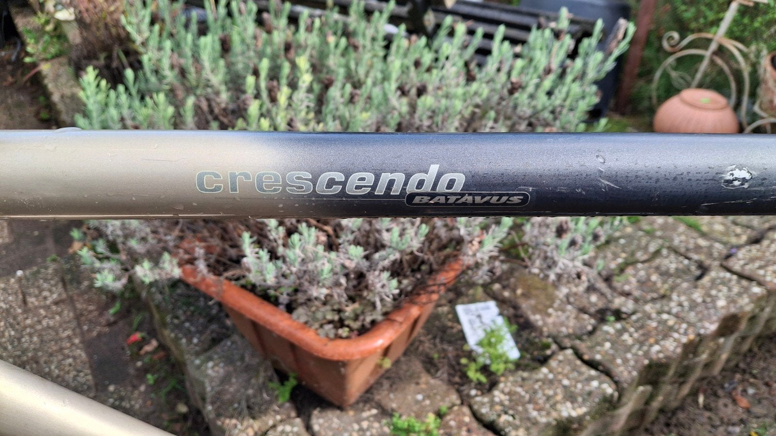 Batavus Crescendo Herenfiets - Gebruikt, Fietsen en Brommers, Gebruikt, Velgrem, Versnellingen, Batavus