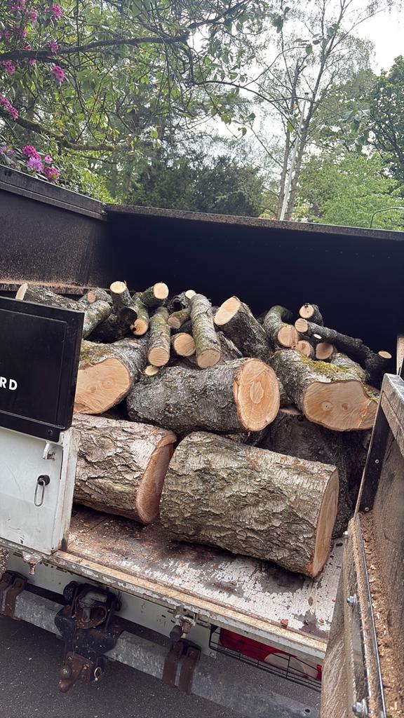3,5 kuub berken stammen vandaag bezorgd, Tuin en Terras, Haardhout, Minder dan 3 m³, Ophalen of Verzenden
