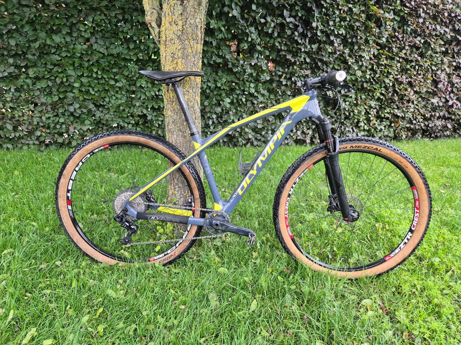 Olympia Iron, Fully, Ophalen, Overige merken