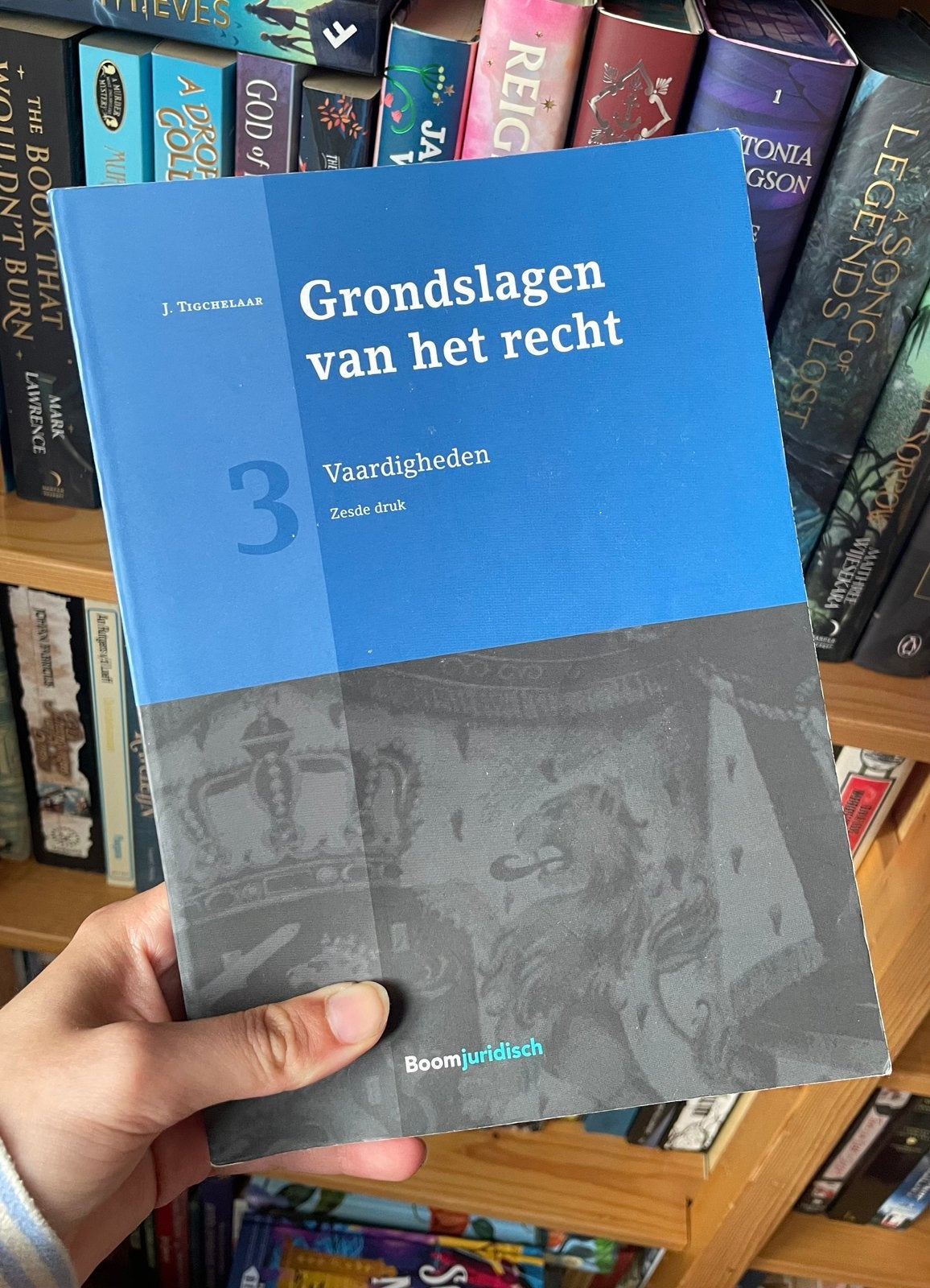 Grondslagen van het recht 3: Vaardigheden, Boeken, Studieboeken en Cursussen, Zo goed als nieuw, WO, Alpha, Ophalen of Verzenden