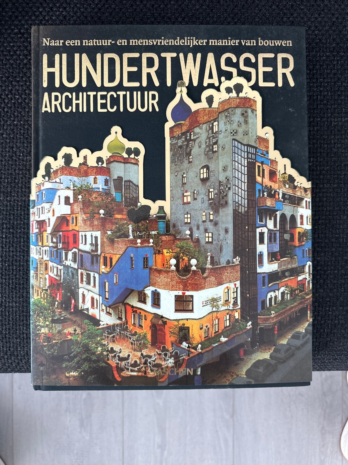 Hundertwasser Architectuur - Naar een natuur- en mensvriende, Ophalen of Verzenden, Zo goed als nieuw, Architectuur algemeen