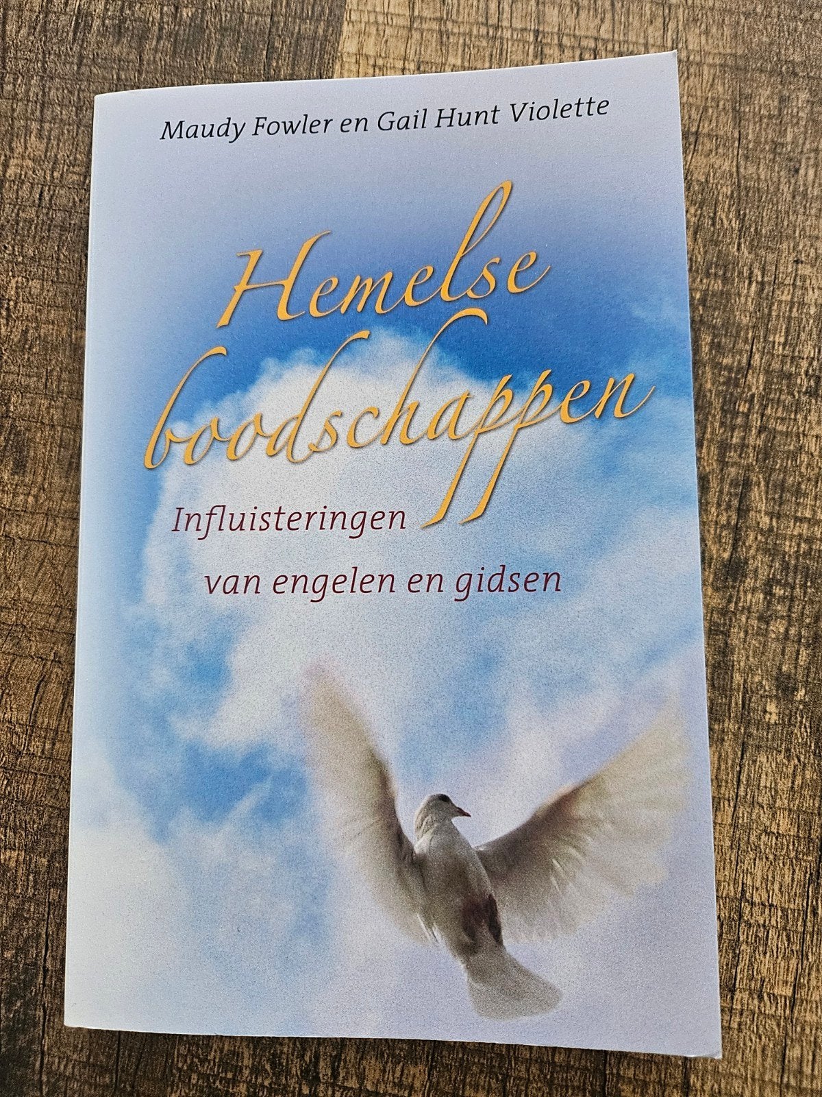 Hemelse boodschappen: ongebruikt boek over engelen en gidsen, Achtergrond en Informatie, Spiritualiteit algemeen, Maudy Fowler en Gail Hunt Violette
