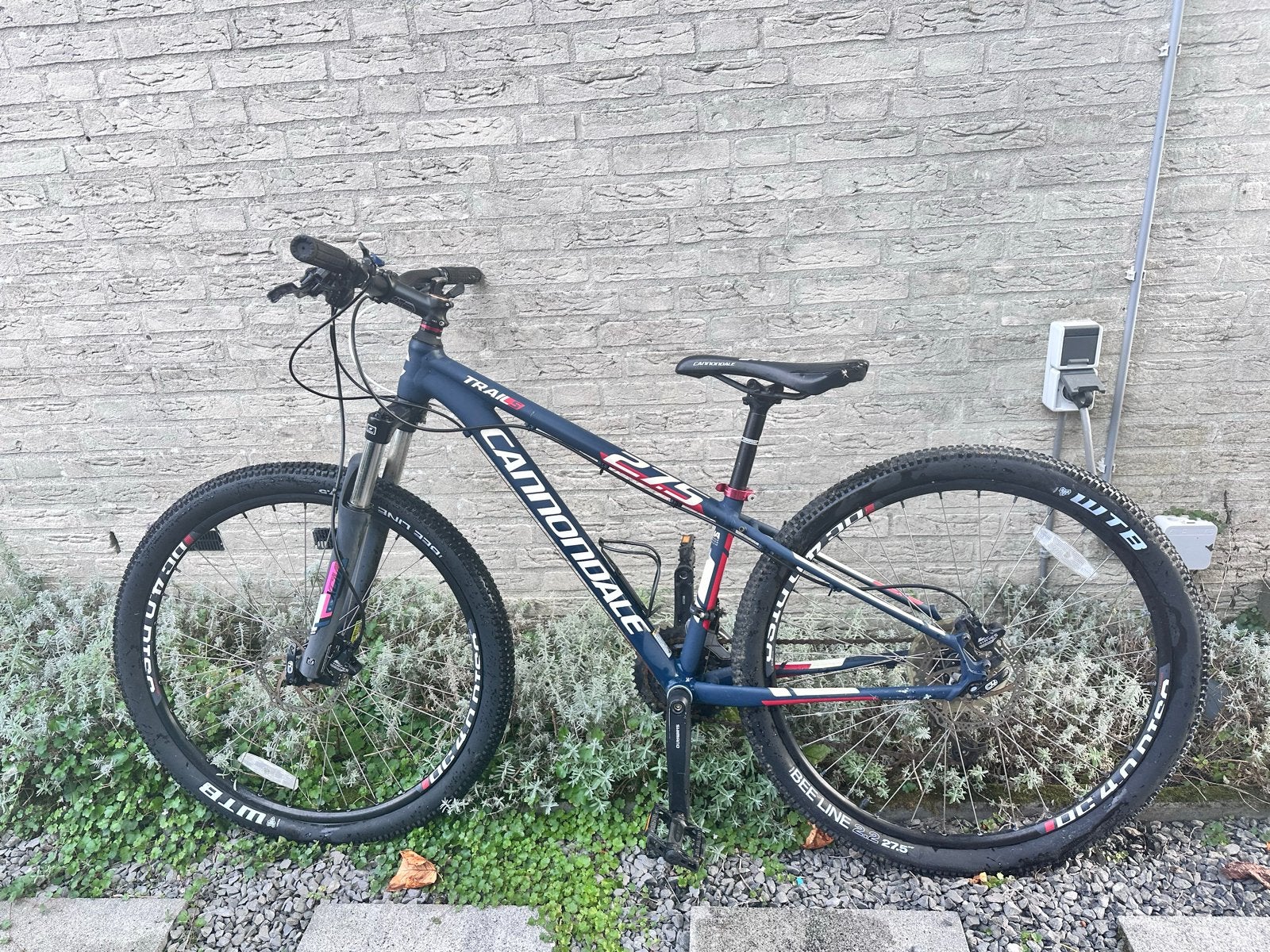 Cannondale Trail 5 29” Mountainbike – blauw, Gebruikt, Hardtail, Heren, Schijfrem