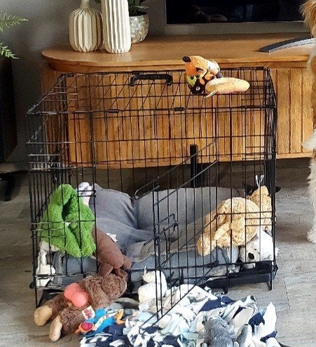 kleine bench  voor klein puppy of klein hondje., Ophalen, Zo goed als nieuw