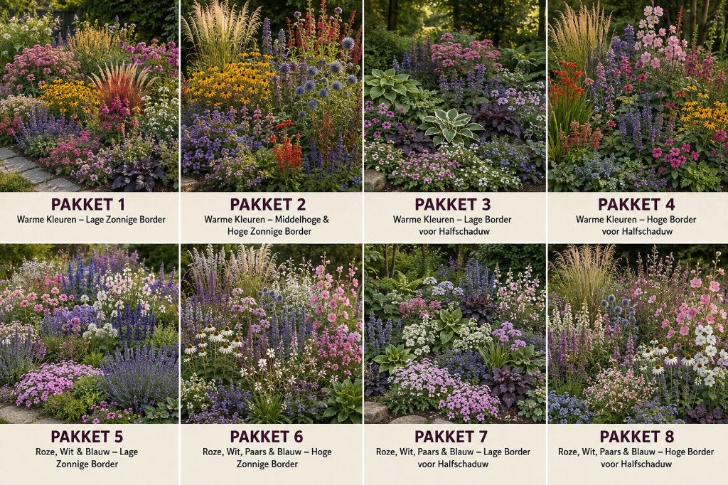 Complete plantenpakketten – 100 planten per pakket, Ophalen of Verzenden, Vaste plant, Overige soorten, Volle zon