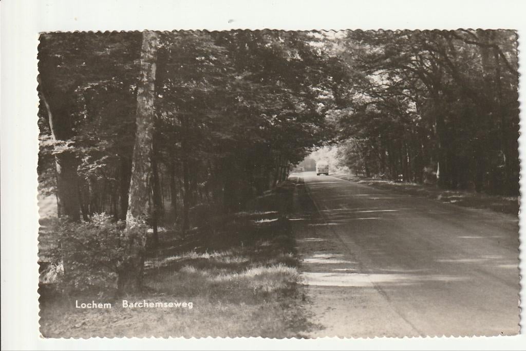 LOCHEM BARCHEMSEWEG OVERDEKT EN BOMEN GTW SAURER VERHEUL BUS, Ophalen of Verzenden, 1940 tot 1960, Gelopen, Gelderland