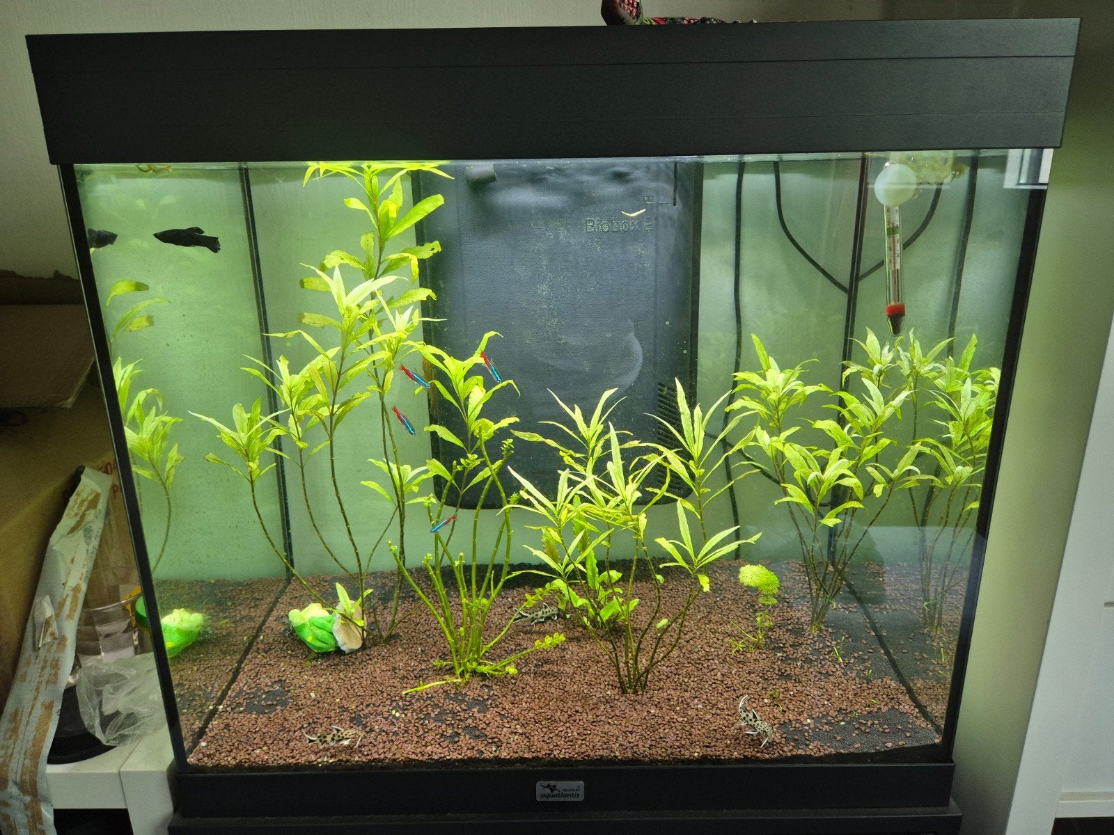 Aqaurium, Dieren en Toebehoren, Vissen | Aquaria en Toebehoren, Ophalen, Aquatlantis, Aquariummeubel, Zo goed als nieuw