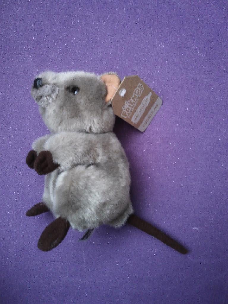 LIL FRIENDS BY KORIMCO Knuffel OTTER **Nieuw met Kaartje**, Overige typen, Nieuw, Ophalen of Verzenden, Met label