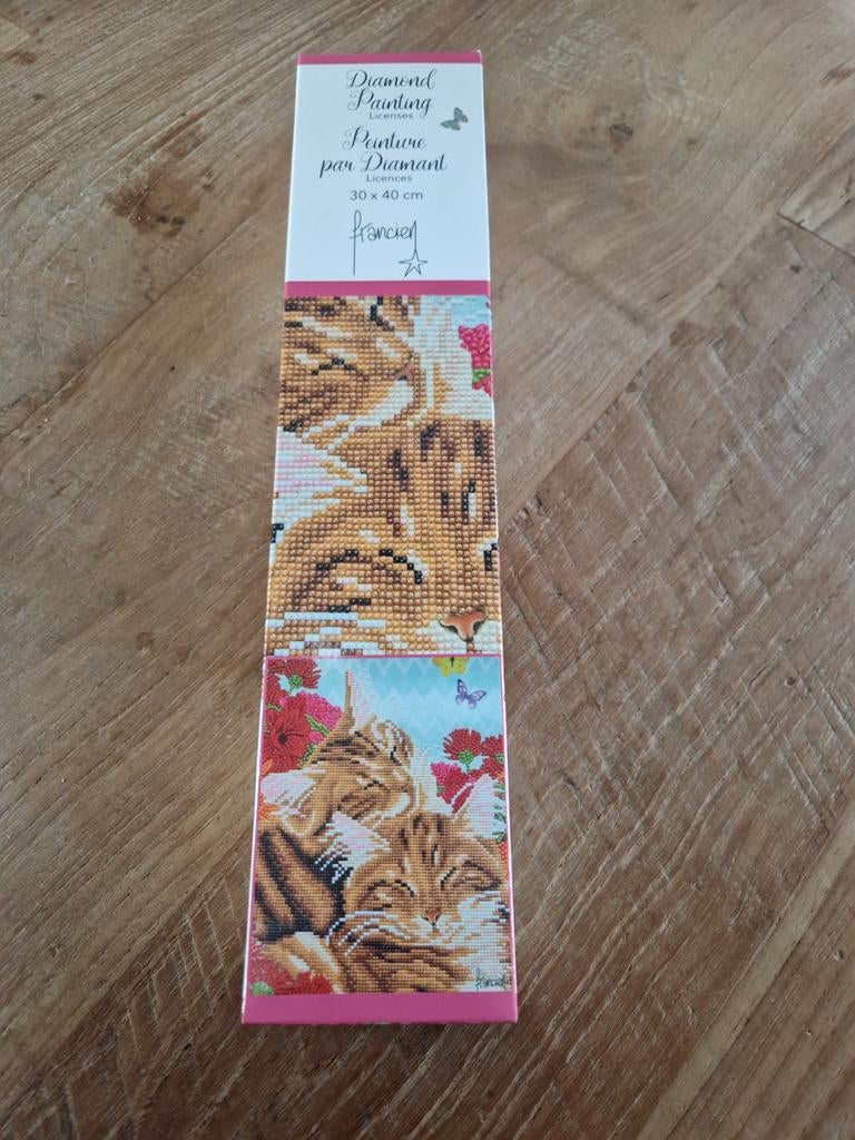 Diamond painting katten, Ophalen of Verzenden, Zo goed als nieuw, Overige onderwerpen