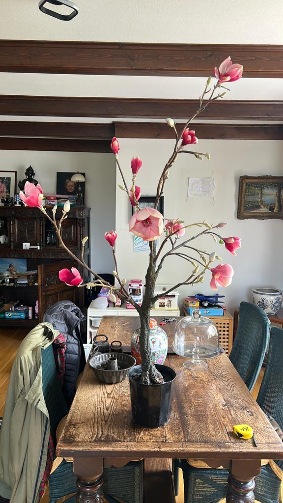 Prachtige kunstbloesem: Roze Magnolia boom, Ophalen, Binnen, Roze, Zo goed als nieuw