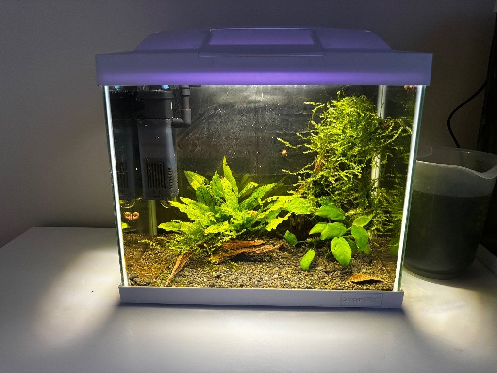 Klein aquarium, Ophalen, Zo goed als nieuw, Gevuld zoetwateraquarium