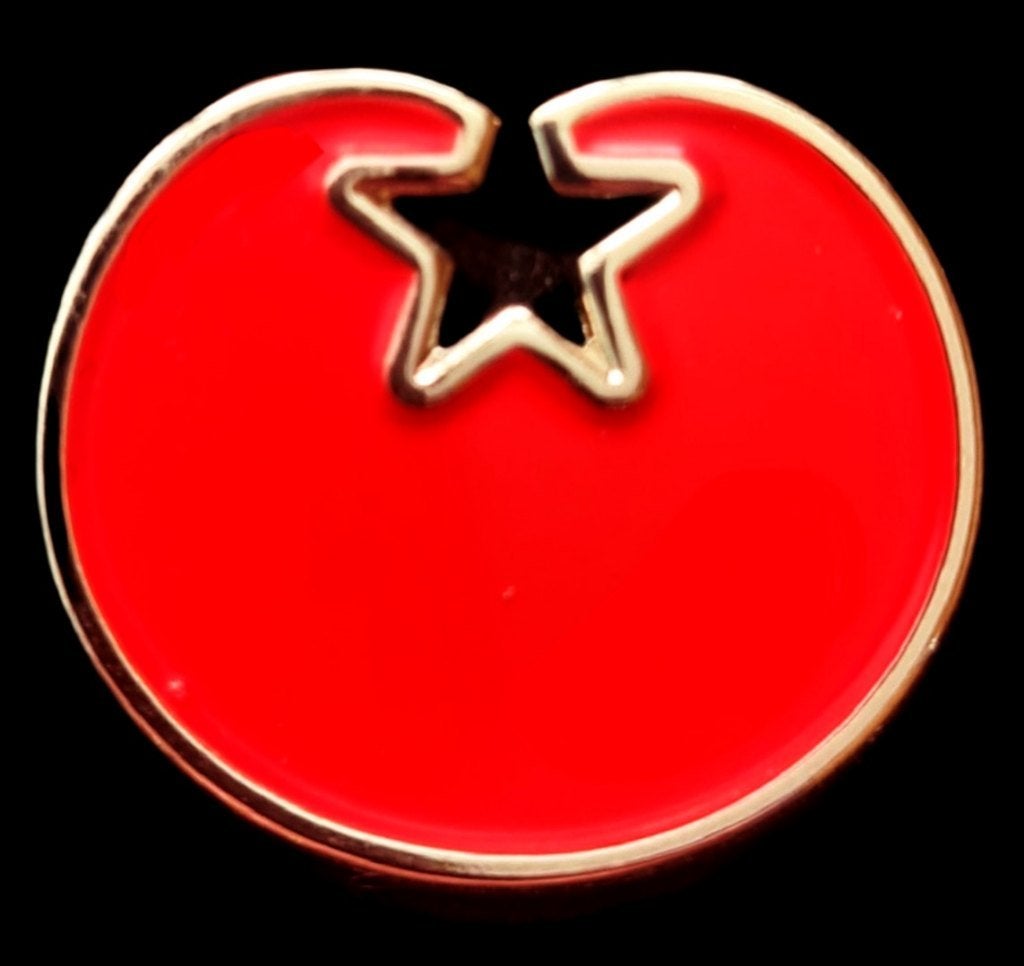 S.P. (Socialistische Partij) pin, Verzenden, Nieuw, Stad of Land, Speldje of Pin