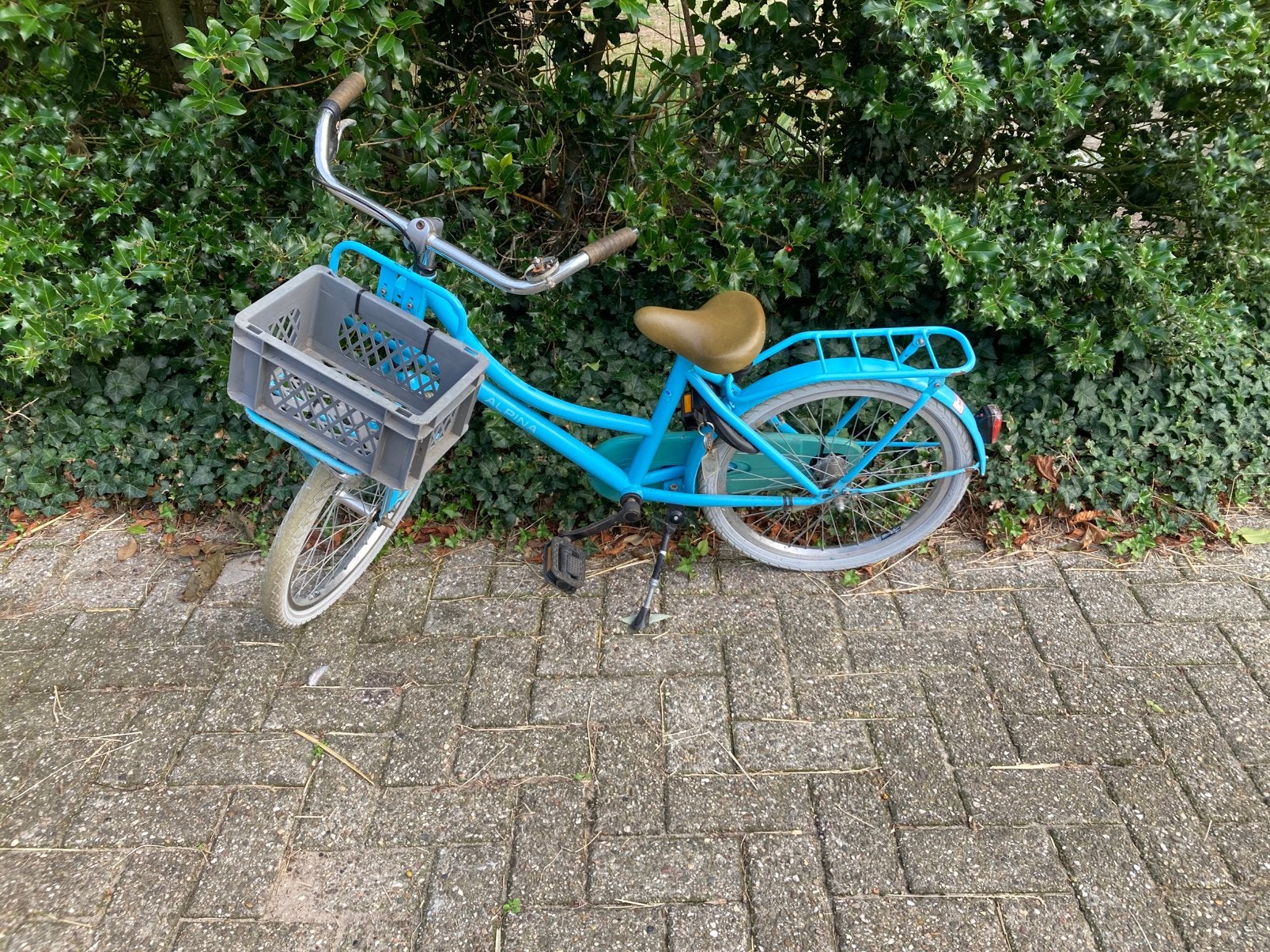 Alpina 20 inch fiets, Ophalen, Terugtraprem, Gebruikt, Alpina