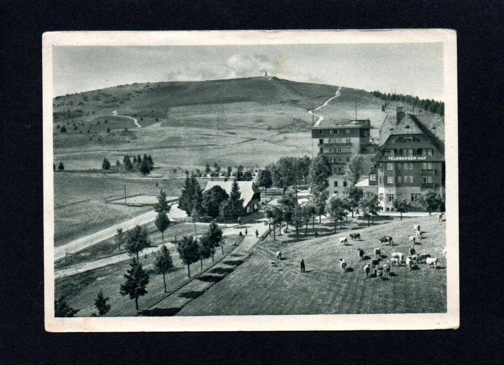 Zeldzame oude ansichtkaart van Hotel Feldbergerhof Duitsland, Ophalen of Verzenden, 1920 tot 1940, Gelopen, Duitsland
