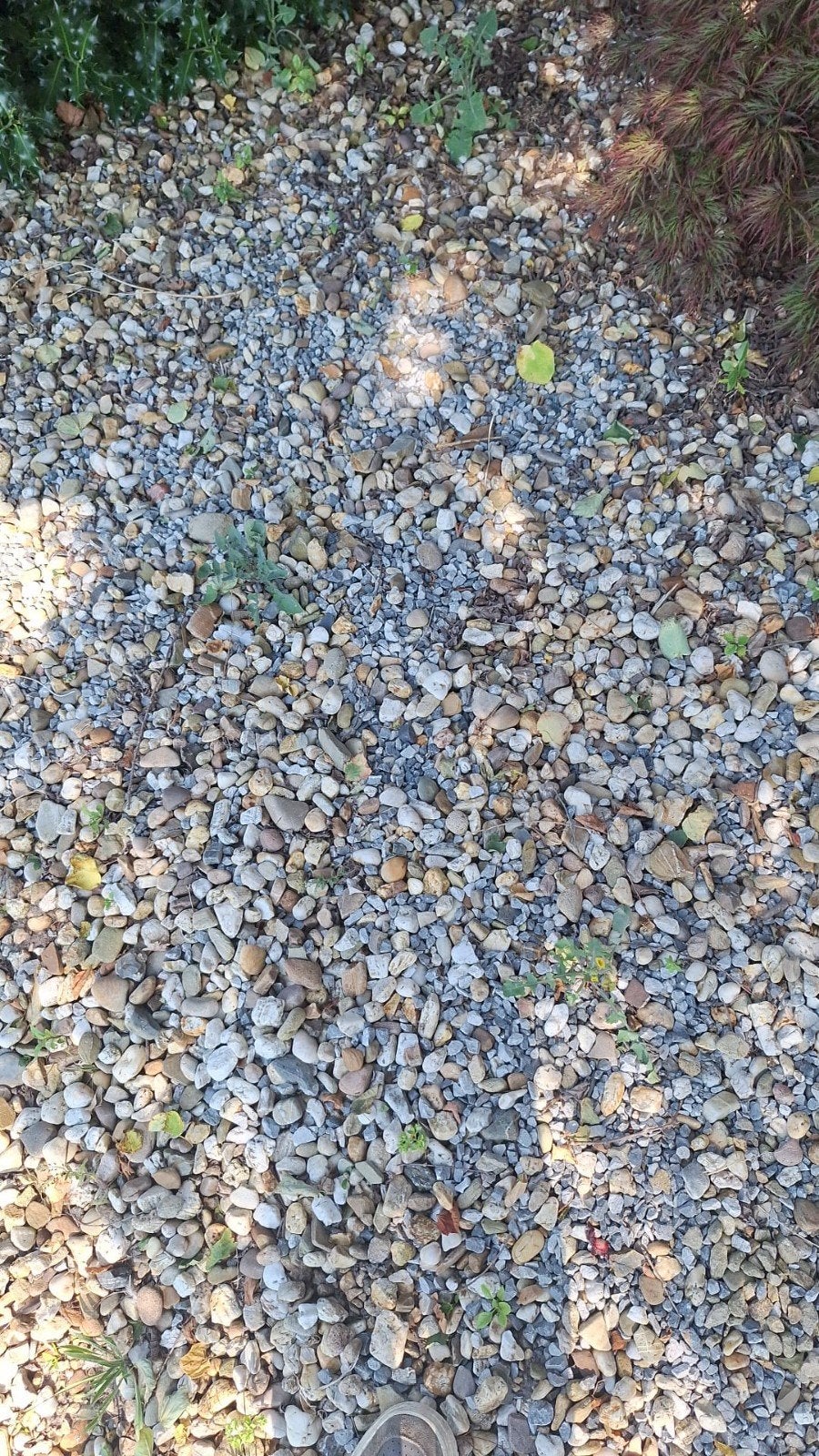 Grind  gratis op te halen, Tuin en Terras, Ophalen, Gebruikt