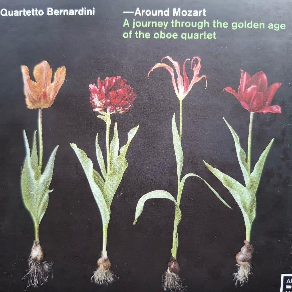 QUARTETTO BERNARDINI - AROUND MOZART, Cd's en Dvd's, Ophalen of Verzenden, Classicisme, Zo goed als nieuw, Mozart