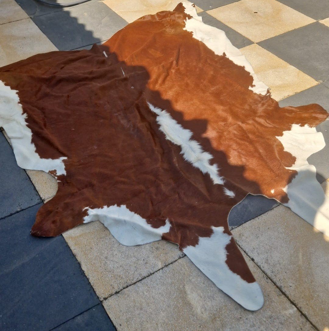 Luxe Bruin-Witte Koeienhuid - Blikvanger voor Elk Interieur, 100 tot 150 cm, Ophalen of Verzenden, Zo goed als nieuw, Landelijke en moderne inrichting