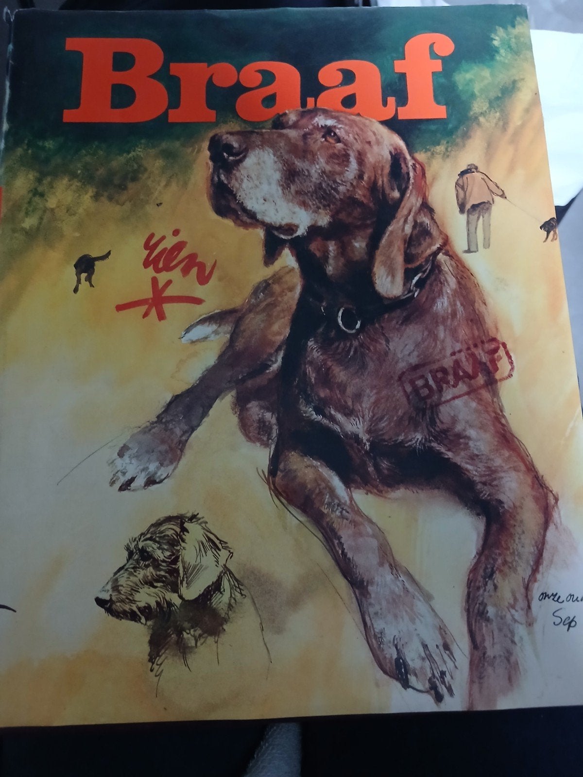 Braaf - Hondenboek met prachtige illustraties, Ophalen, Zo goed als nieuw, Overige onderwerpen, Onbekend