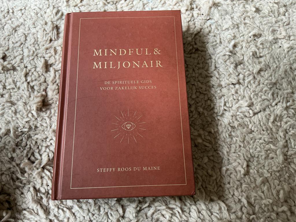Mindful & Miljonair: Spirituele Gids voor Zakelijk Succes, Ophalen of Verzenden, Zo goed als nieuw, Spiritualiteit algemeen, Achtergrond en Informatie