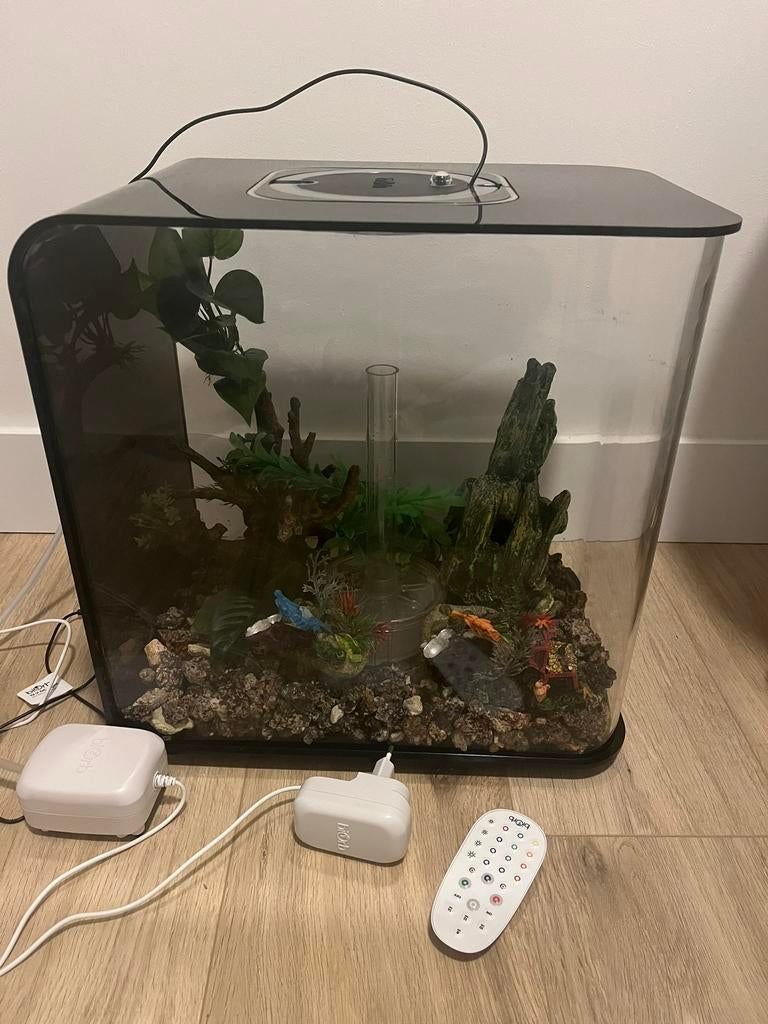 Aquarium Biorb 30L, Ophalen of Verzenden, Gebruikt, Leeg aquarium