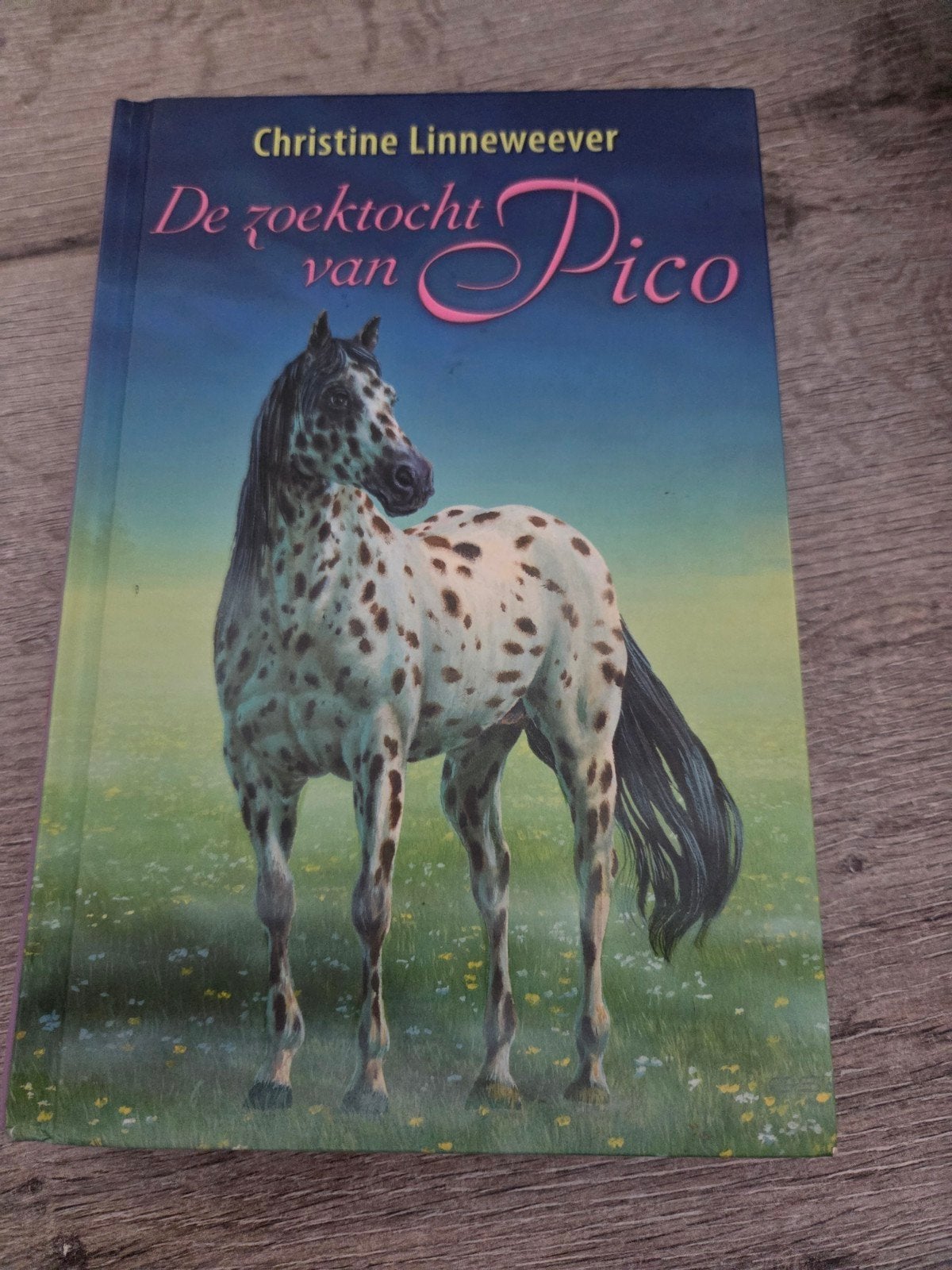 De zoektocht van Pico - Christine Linneweever, Boeken, Ophalen of Verzenden