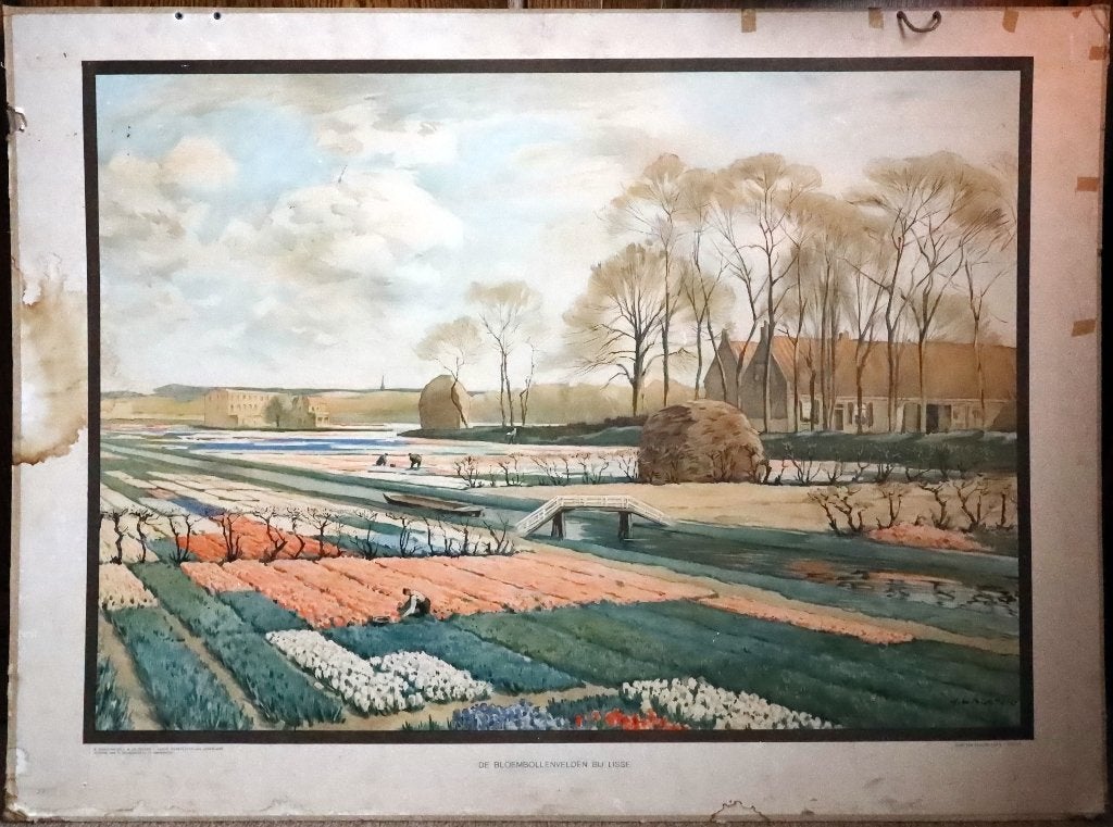 De bloembollenvelden bij Lisse, Ophalen, Geschiedenis
