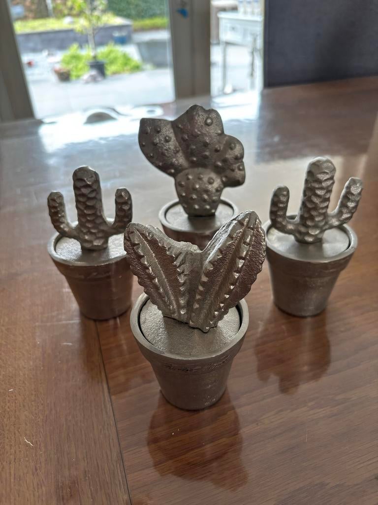 Riviera Maison Cactus voor Huis en Inrichting | Marktplaats