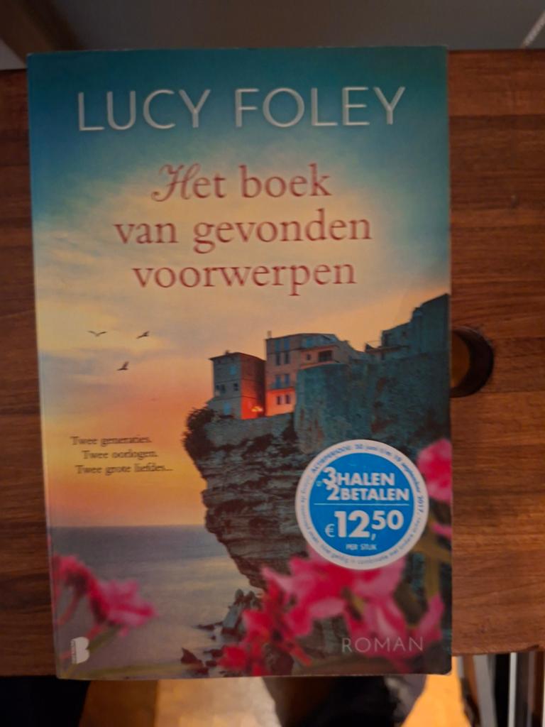 Lucy Foley - Het boek van gevonden voorwerpen, Ophalen, Zo goed als nieuw, Lucy Foley, Nederland