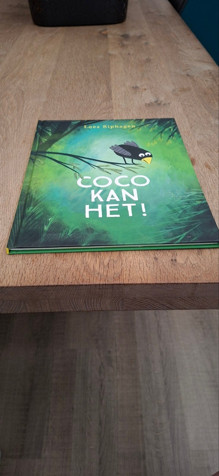 Loes Riphagen - Coco kan het!, Ophalen of Verzenden, Zo goed als nieuw, Loes Riphagen, Prentenboek