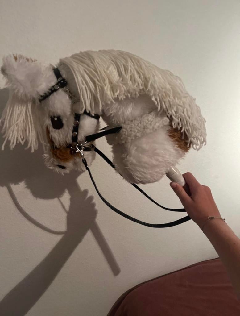 Mooie hobbyhorse, Ophalen of Verzenden, Zo goed als nieuw, One size fits all