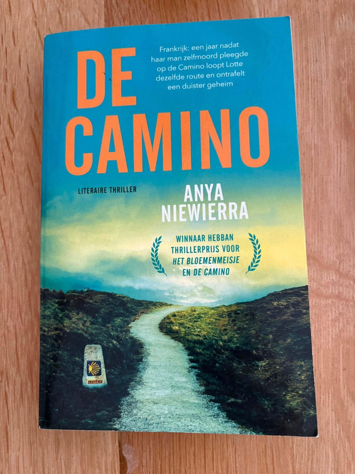 De camino boek, Ophalen of Verzenden, Zo goed als nieuw