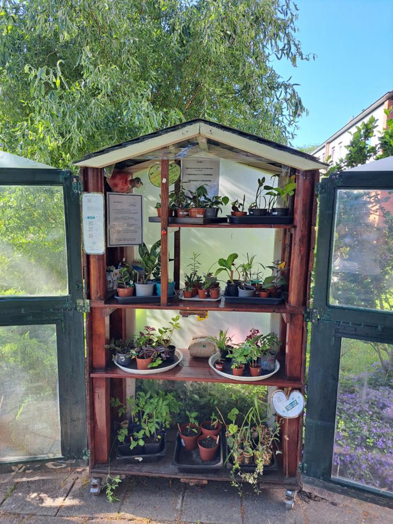 Planten & stekjes ruilkraam ForestParents, Ophalen, Overige soorten, Volle zon