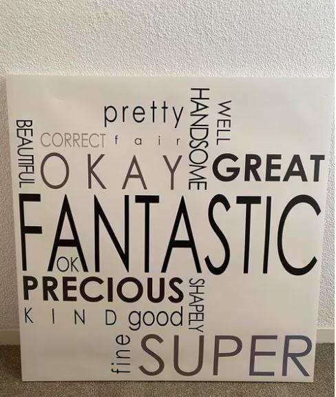 Canvas Fantastic, Ophalen, Overige typen, Zo goed als nieuw, 50 tot 75 cm
