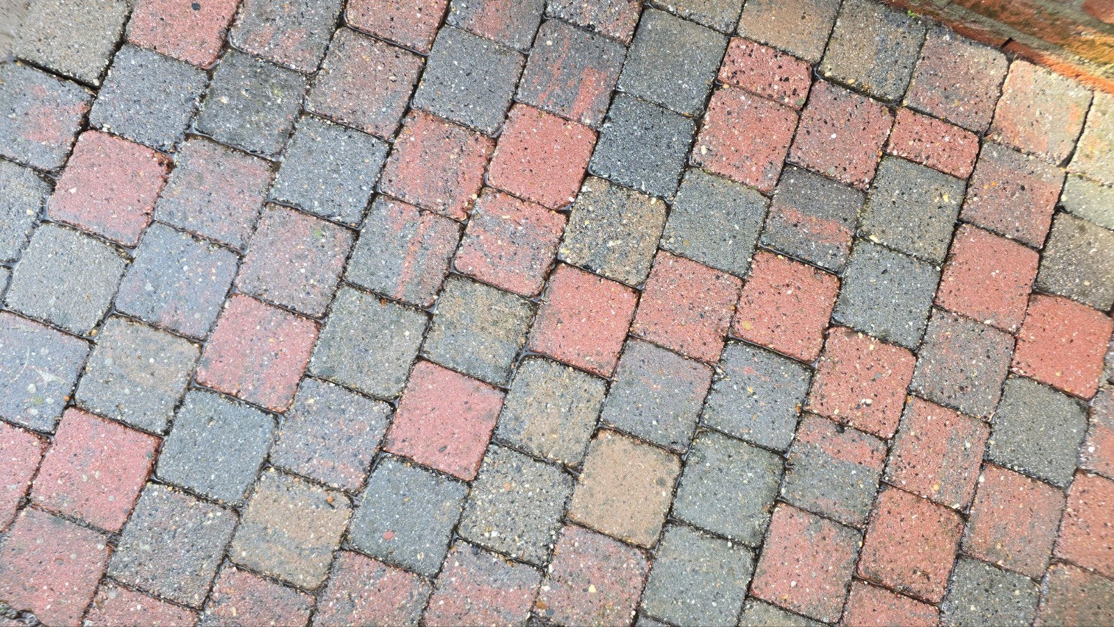 40m2 Gebruikte tuintegels, Ophalen of Verzenden, Gebruikt, Overige materialen