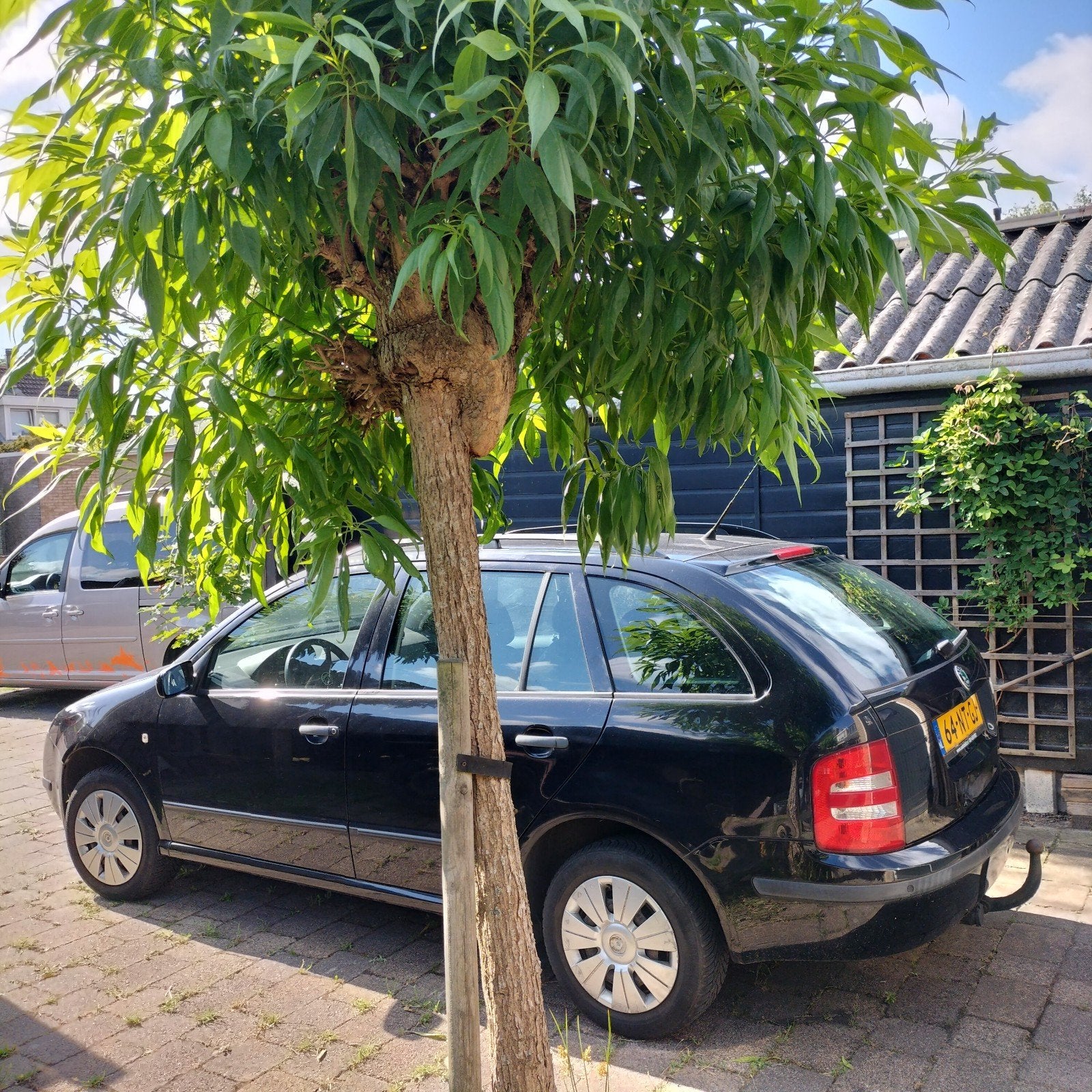 Skoda Fabia 1.4 Combi 55KW 2004 Zwart, Voorwielaandrijving, 74 pk, 4 cilinders, 1070 kg