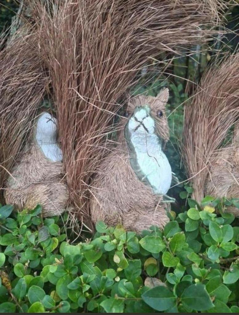 Leuke decoratieve eekhoorns voor binnen of buiten €5.0, Tuin en Terras, Tuinbeelden, Ophalen of Verzenden, Zo goed als nieuw, Overige materialen
