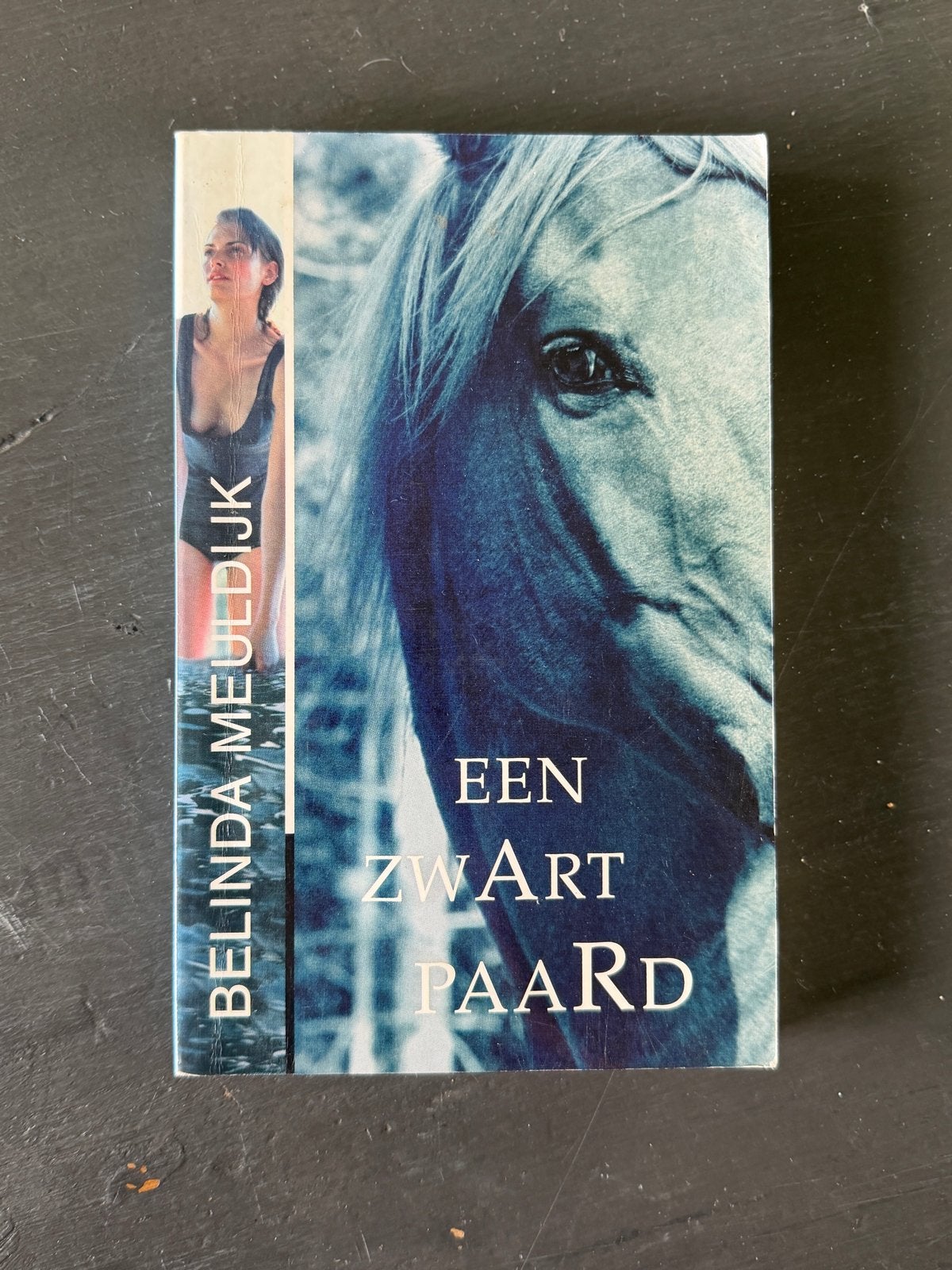Een Zwart Paard - Belinda Meuldijk (Boek), Boeken, Ophalen of Verzenden, Gelezen, Nederland