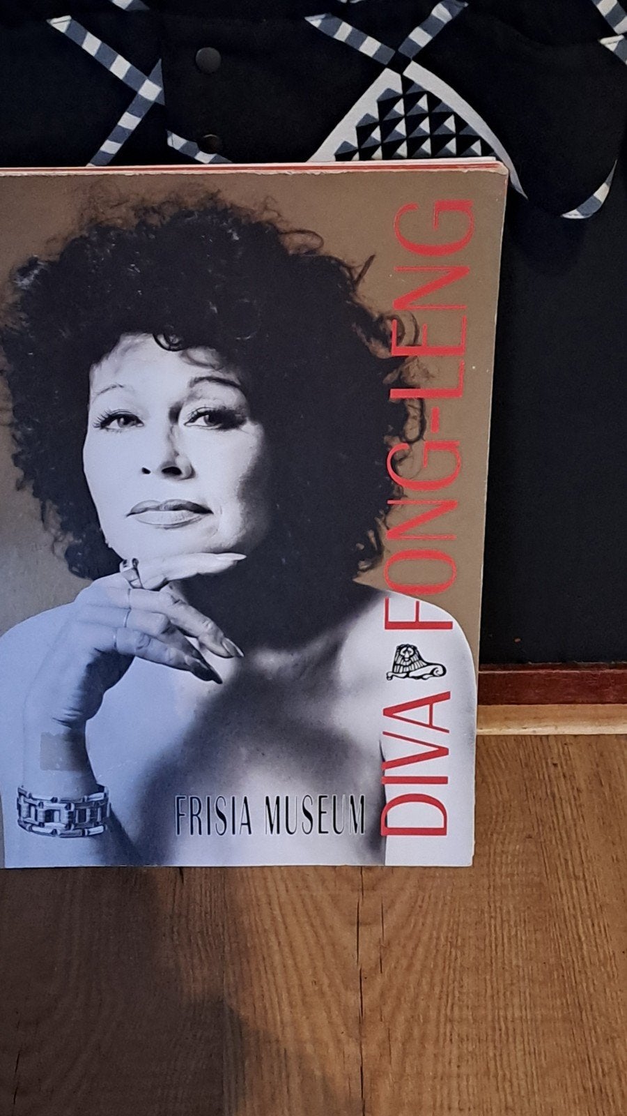 fong leng jas en overzichts boek, Verzenden, Zo goed als nieuw