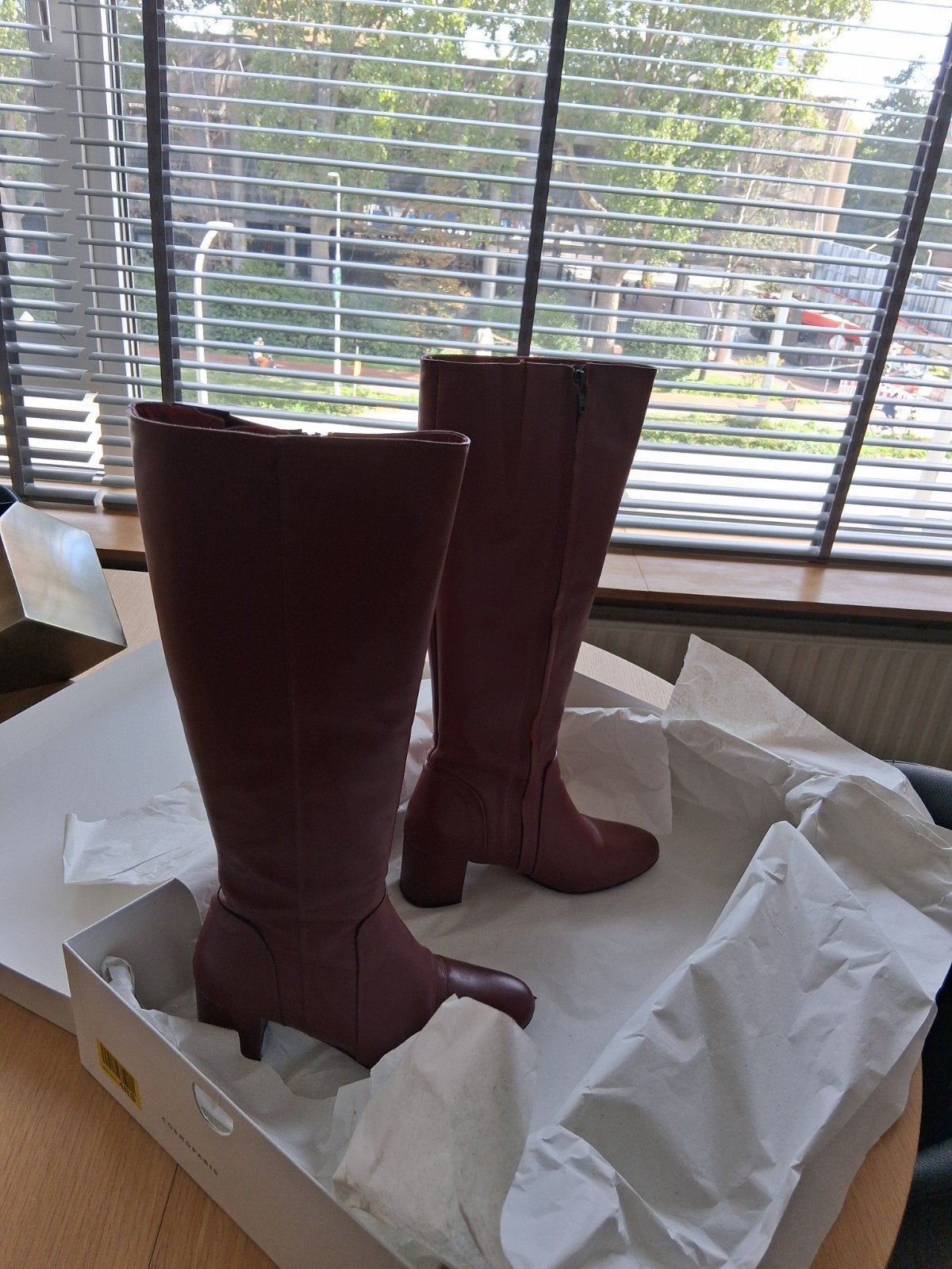 Cosmoparis Warren Bordo Hoge Laarzen Maat 36, Kleding | Dames, Ophalen
