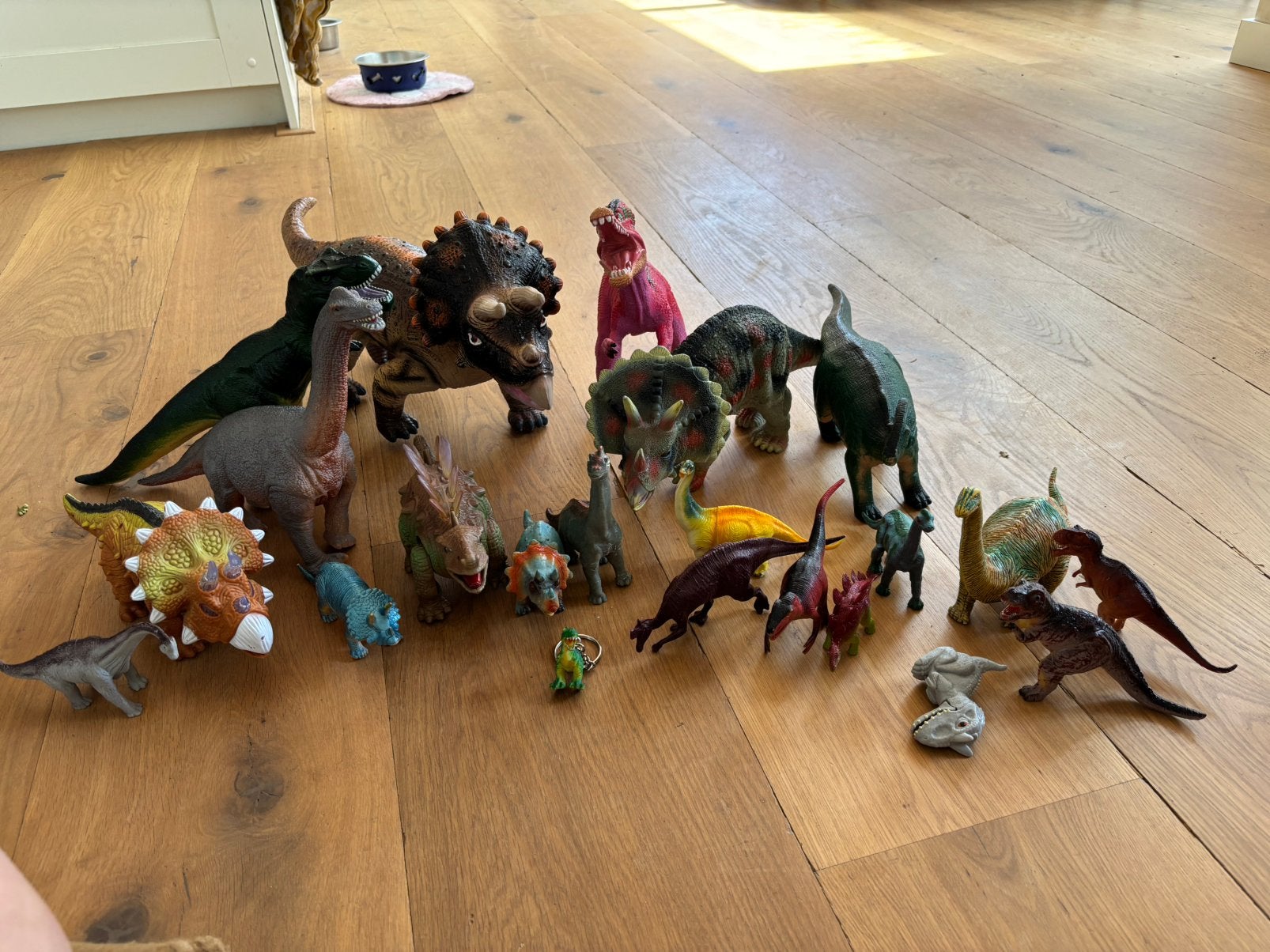 Dino’s te koop, Ophalen, Zo goed als nieuw, Jongen of Meisje