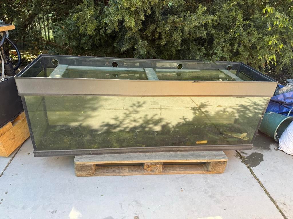 Aquarium lxbxh 177x52x60, Dieren en Toebehoren, Ophalen, Leeg aquarium