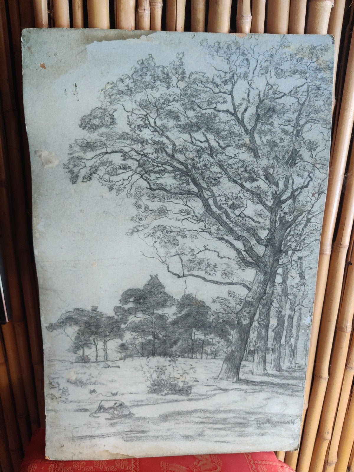 Potloodtekening van Geo Poggenbeek - Landschap met bomen, Antiek en Kunst, Kunst | Tekeningen en Foto's, Ophalen of Verzenden